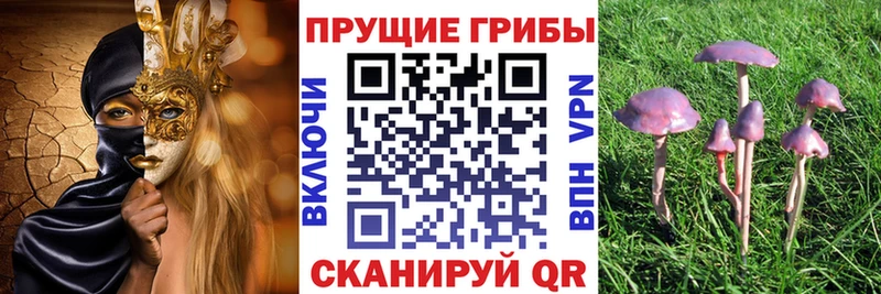 Псилоцибиновые грибы мицелий  Мариинск 